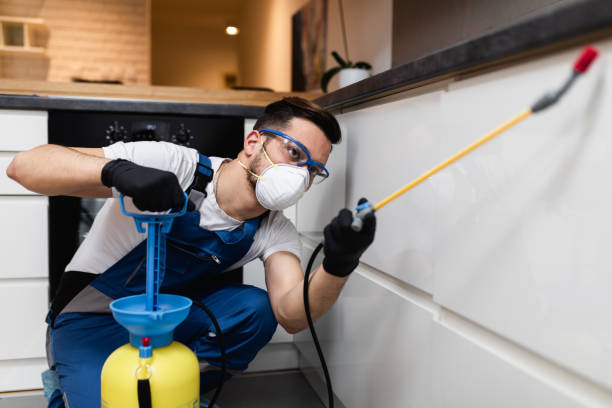 Best Emergency Pest Control  in Shiner, TX
