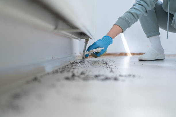 Best Residential Pest Control  in Shiner, TX